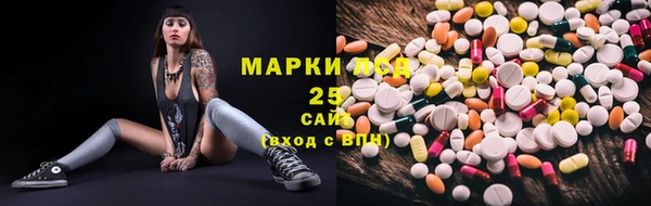 PSILOCYBIN Покачи