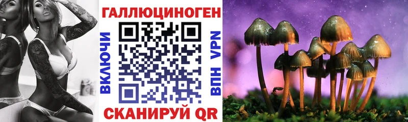 даркнет состав  KRAKEN как зайти  Калачинск  Галлюциногенные грибы прущие грибы 
